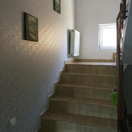 Casa Vlad *